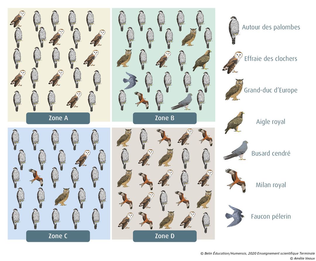 La Biodiversité Et Son évolution Terminale Enseignement Scientifique Exercice Estimer la biodiversité d'un milieu - Manuel numérique max Belin