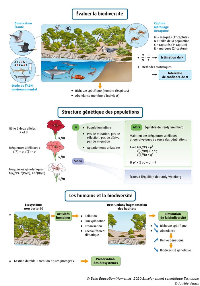 La Biodiversité Et Son évolution Terminale Enseignement Scientifique Exercice