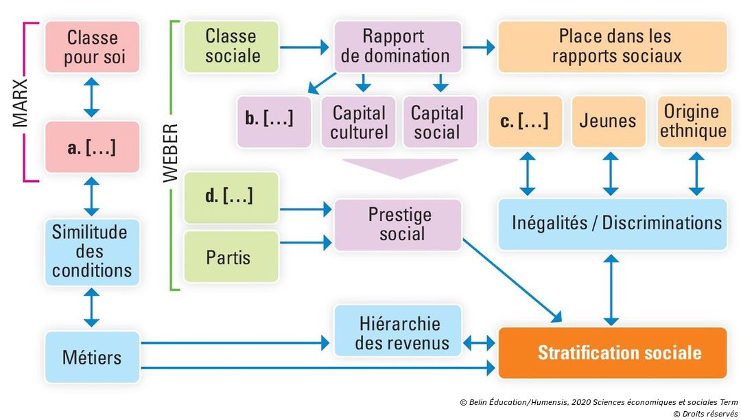structure sociale ses terminale dissertation