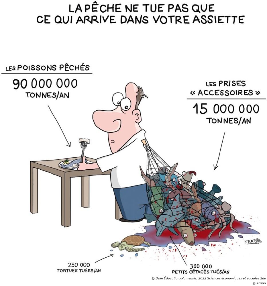 Pourquoi Le Pib Est Un Indicateur Imparfait Quelles sont les limites du PIB et de la croissance ? - Manuel numérique  max Belin